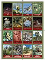 planilla4.pdf