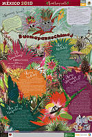 NAHUATL bromelias.jpg