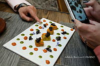 3R00678 Thasus gigas.jpg