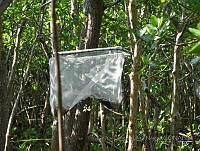 HEON001 Paraíso, Campeche.jpg