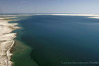 CNS0481 Laguna San Ignacio, Baja California Sur.jpg