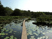 JMDG014 La Mancha, Veracruz.jpg