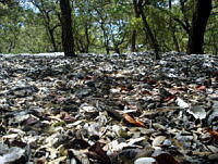 MRR037 Pueblo Viejo, Veracruz.jpg