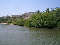 GGG0040 Melaque, Jalisco.jpg