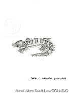 MARL0191 Coleonyx variegatus ssp. peninsularis.jpg