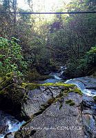 FBA1064 Las cascadas Comaltepec_04.jpg