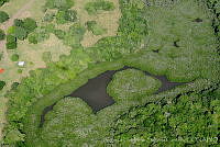 AHSC001 Aldama, Tamaulipas (2).jpg