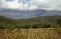 DK2158 Putla, Oaxaca.jpg