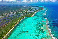 MN6FA0051 Selva, Manglar, Pastos Marinos, Arrecife, Playa y Mar..jpg