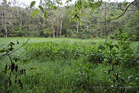 LAMH024 Ocozocoautla, Chiapas.jpg