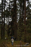 CGL3841 Angangueo, Michoacán.jpg