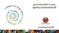 Calendario 2003.pdf