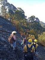 XR003 001 Invendio forestal en RB Sierra Tecuani.jpeg
