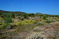 LI005 0200 Pastizal.jpg