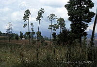 DK2051 Toluca, Estado de México.jpg