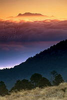 MALR03 Parque Nacional Iztaccíhuatl-Popocatépetl, Estado de México.jpg