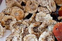 IMDOC Hong 0161 Russula brevipes.jpg