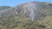 XR003 004 Invendio forestal en RB Sierra Tecuani.jpeg