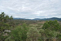 DK0722 Mixteca Baja, Oaxaca.jpg