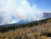 XR004 0001 Incendio forestal.jpg