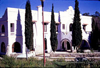 FGM3171 Cupressus sempervirens.JPG