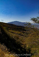 FBA1412 Paisaje en Oaxaca.jpg