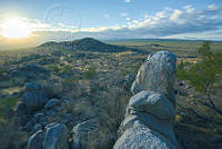 1_Matorral Xerofilo. Roberto Pedraza.jpg