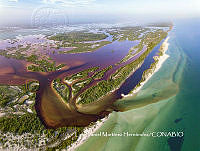 MN6FA0040 Ciénagas y Manglares de la Costa Norte de Yucatán.jpg