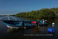 IMDOC4121 Panorámicas de INAPESCA.jpg