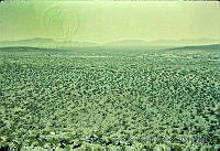 1433 Samalayuca, Chihuahua.jpg