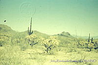 3197 Sonora, México.jpg