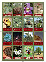 planilla7.pdf