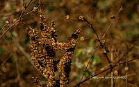 FBA1210 Santa María Huatulco_24.jpg