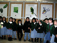 Colegio Buena Tierra.pdf