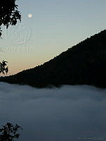 MGvarios65 Oaxaca, México.jpg