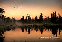 VM004 Xochimilco, Ciudad de México.jpg