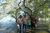 FN005 7 155 Equipo Manglares.jpg