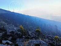 XR004 0007 Incendio forestal.jpg