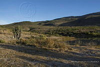 IMDOC2382 Mitla, Oaxaca.jpg