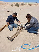 RE006 0087 TrabajoCampo_17.tif