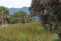 MGvarios202 Oaxaca.jpg