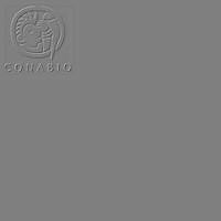 ConabioCorner copy_20180712_161736134.jpg