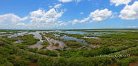 LM019 0150 Panorámica de manglares.jpg