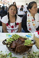 IMDOC3316 Myrtillocactus geometrizans.JPG