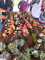JCDJC 0008 Feria itinerante de Durango.jpg