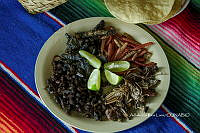 3R00702 Sphenarium purpurascens.jpg