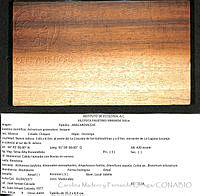 CMyFO 01007 Astronium graveolens.JPG