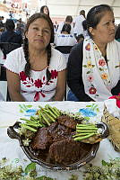 IMDOC3316 Myrtillocactus geometrizans.JPG