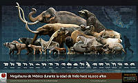 Cartel-Era-del-Hielo.jpg