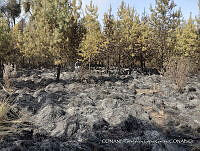 VR001 10 Santiago Tlacotepec.jpg